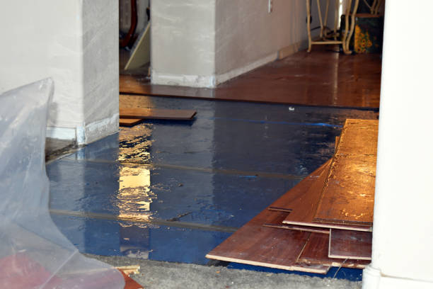 Professional Basement Flood Cleanup technician working in West Point, UT